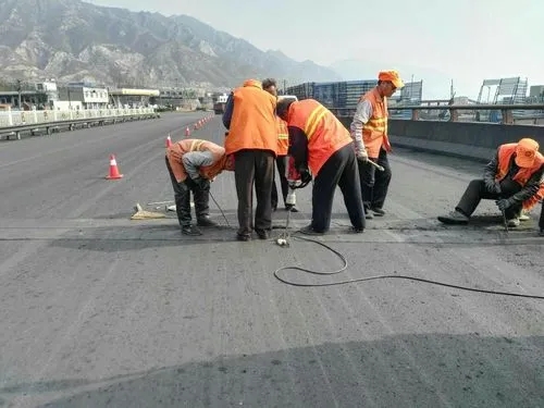 鲤城道路桥梁病害治理